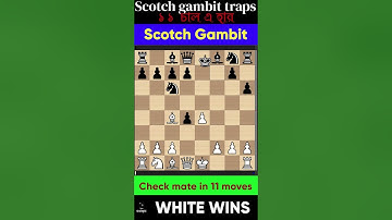 scotch gambit I scotch gambit chess opening  #shorts