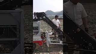 Yanmar Vegetable Work Truck NC20S-WT with the Yanmar Onion Picker HP101T #shorts #agrimachinery