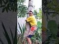 UCUP NANGIS DI KATAIN OMPONG #ucupompongtv