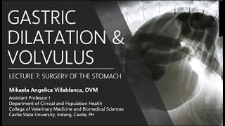 Lecture 7.2 Gastric Dilatation and Volvulus