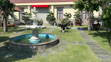 Dịch Vụ Chăm Sóc Sân Vườn Cây Hoa Cỏ Kiểng Tại Các Khu Vực HCM và Long An #0917183271