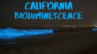 Last night we took a trip to local california beach see some of the
incredibly beautiful bioluminescence in waters. here are places you
can see...