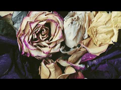 Зимавсегда - В один день