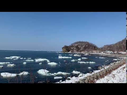 貝 まる 住吉