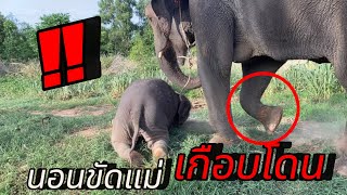 เป็นการเดินเล่นที่วุ่นวายมาก🤣‼️