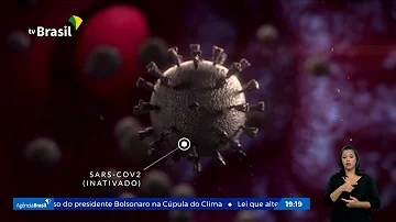 O que é vacina Brainly?