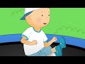 Caillou y el Trampolín | Caillou en Español - WildBrain