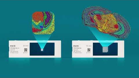 Introducing Curio Seeker: High-resolution spatial transcriptomics | Curio Bioscience
