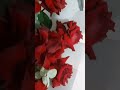 Red Big Rose so beautiful #shortsyoutube