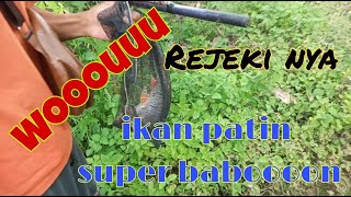 Mancing Ikan Di Sungai Ada Strike Ikan Patin Babon.