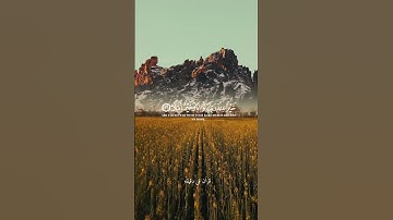 قران كريم ارح قلبك وسمعك #قران_في_دقيقة #احمد_العجمي #quran #المصحف #قرآن