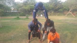Shining star group