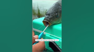 Gỡ lưỡi câu đa năng an toàn tiện lợi #cauca #fishing #shorts