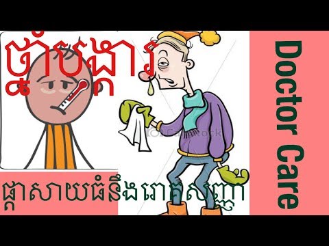 ជំងឺគ្រុណផ្តាសាយធំ​ រោគសញ្ញា​ នឹងការចាក់ថ្នាំបង្ការដេីម្បីការពារ