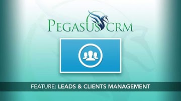 PegasusCRM: Leads & Clients Management Overview