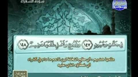 ما تيسر من سورة الشعراء ـ صلاح بو خاطر