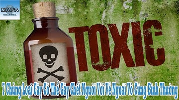 7 Chủng Loại Cây Có Thể Gây Chết Người Với Vẻ Ngoài Vô Cùng Bình Thường - KAPA Channel