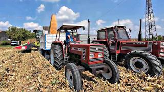 Le Mie Attivita Di Fine Estate