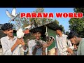 🕊️പറവയെ പറത്താൻ പഠിക്കാം|parava training malayalam