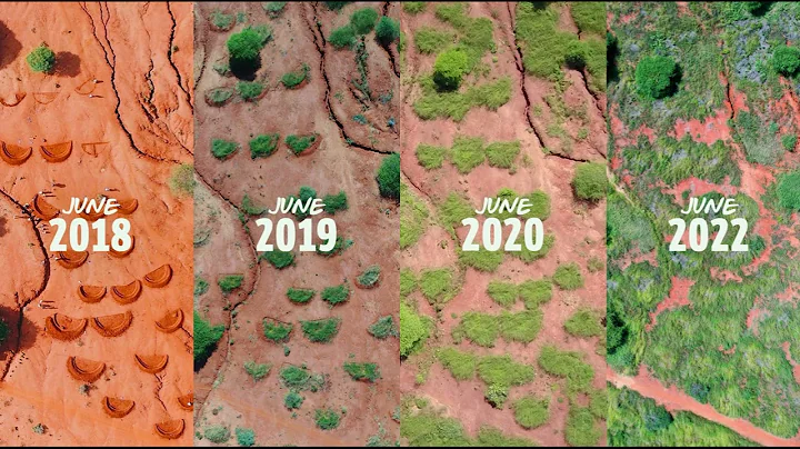 Mastering the Art of Half Moon Bunds