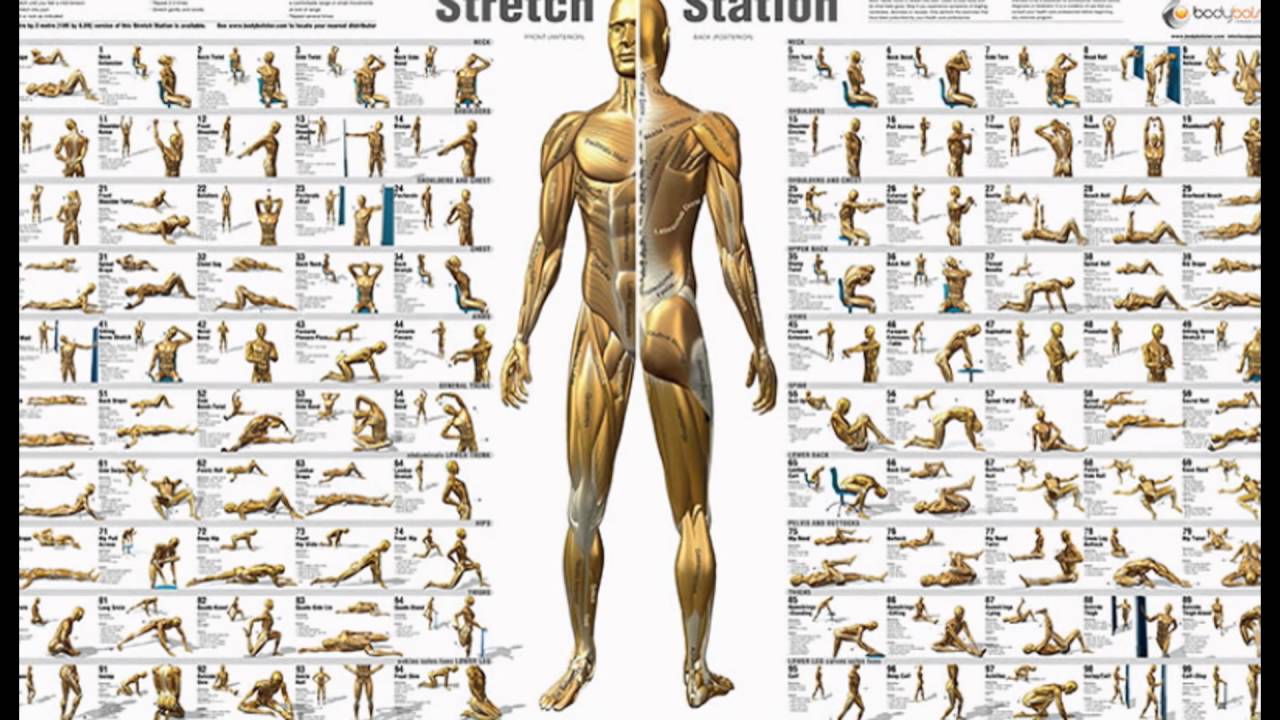 Gym Schedule For Men Chart