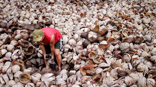 Using Million of Coconut Husks to Produce Expensive Asin Tibuok Salt