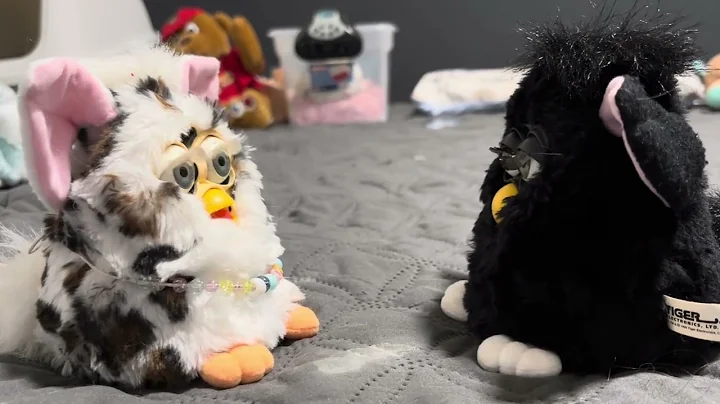 Video 11569551: cat snow leopard, cat talking