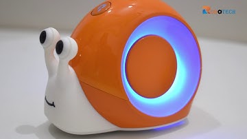 Robobloq Qobo at Playbotics Preschool