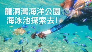 龍洞灣海洋公園，海泳池探索去! 