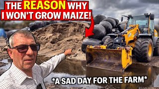 I Have To Explain Myself - I Will Not Grow Maize AGAIN! Update