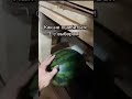 Reels юмор шуточное прикол смешновидео мемас 2025 лето смех Reels юмор шуточное прикол смешновидео мемас 2025 лето смех