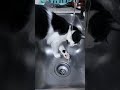AALIF PLAYING WATER😹 CAT WATER LOVER | CAT LOVES WATER