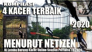 4 KACER TERBAIK Di Lomba Burung Online Season Pertama Tahun 2020