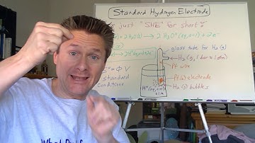 Video 7  Standard Electrode Potentials