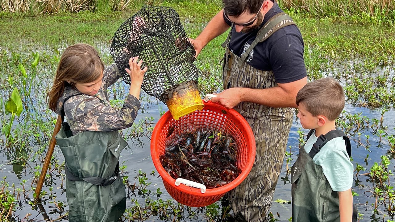 Catch Your Own CRAWFISH in a Pond