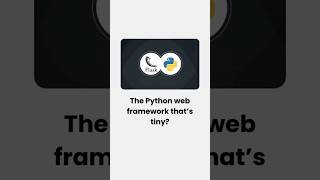 That Python Web Framework That is Tiny.