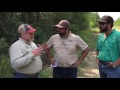 Timber Talk:The Value of Timber on Property For Sale Timber Talk:The Value of Timber on Property For Sale