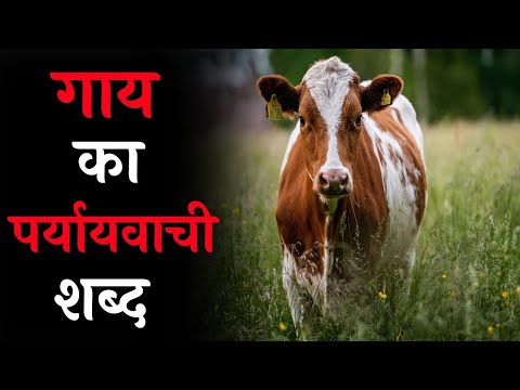 वीडियो: गाँठ का समानार्थी शब्द क्या है?