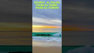 113 - SOURAT  AL-FALAQ Voiced by cheikh Wadie Al-yamani.