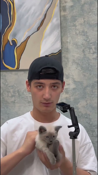 Sakura va Naruto porno haqida jinsiy multfilmlar Sizning sevgilingiz uchun qisqa erotik sherlar