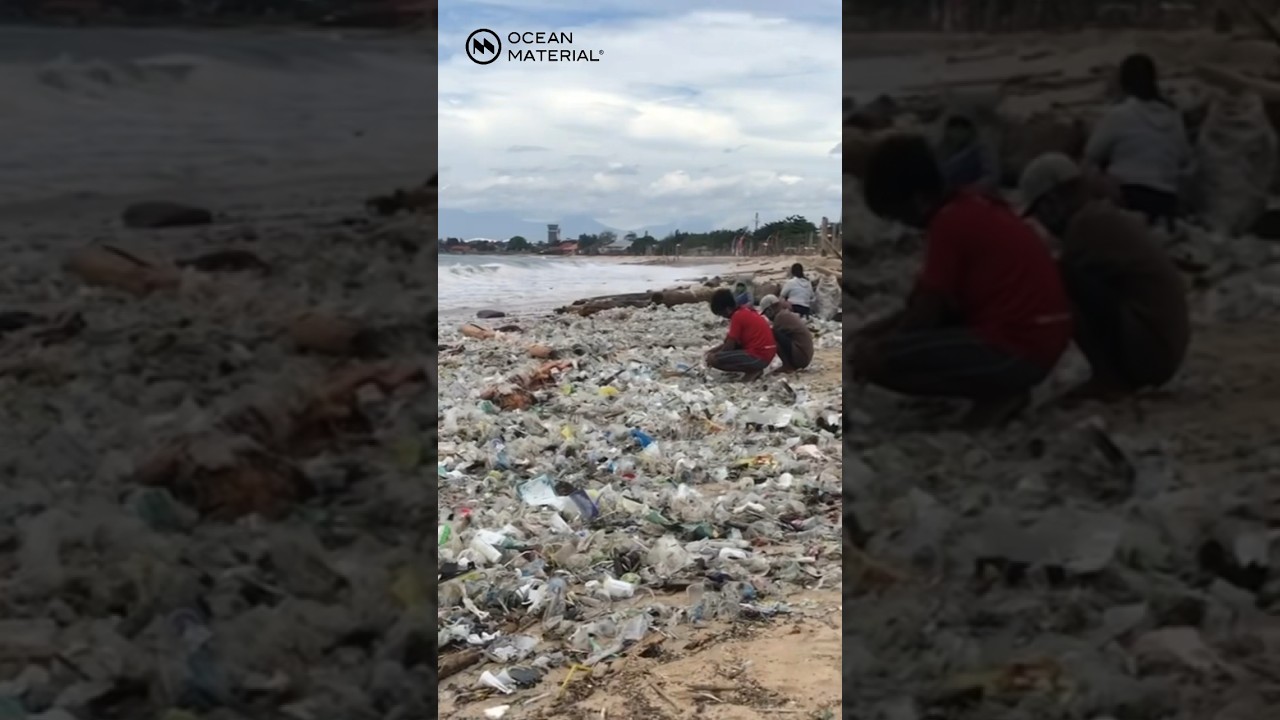 Save Our Seas: Join the Fight Against Plastic Pollution 