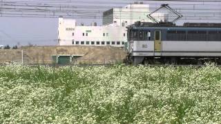 7071レ　EF65 1036単機