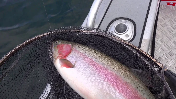 Freshwater fishing with Pat Swift