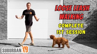 How to Teach Your Puppy Loose Leash Walking!