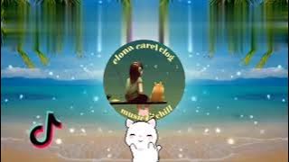 WAWA NAWE/TIKTOk DANCE REMIX