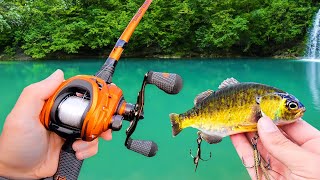$100 Budget Fishing Challenge (Bank, Kayak, Boat)
