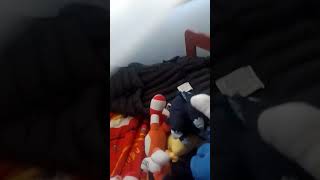 todos mis peluches de sonic #2
