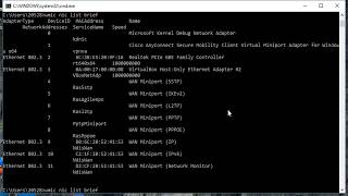 wmic commands for collecting windows information