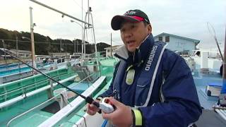【いつでも釣り気分！】#029 仕掛けで差が出る！相模湾マルイカ攻略