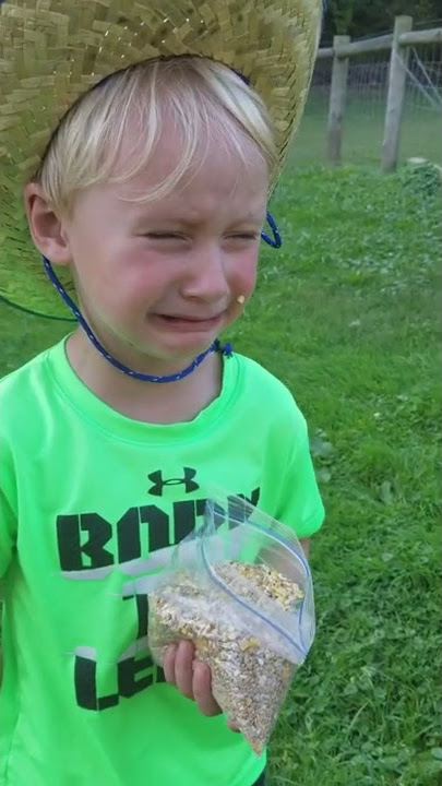 Boy gets spit in the face while feeding Llama